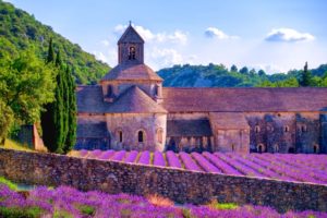 Provence-Lavendelblüte