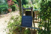 Okzitanien_Chateau Flaugergues