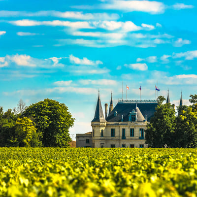 Atlantikküste Frankreich Schloss in Margaux mit Weinberg im Vordergrund