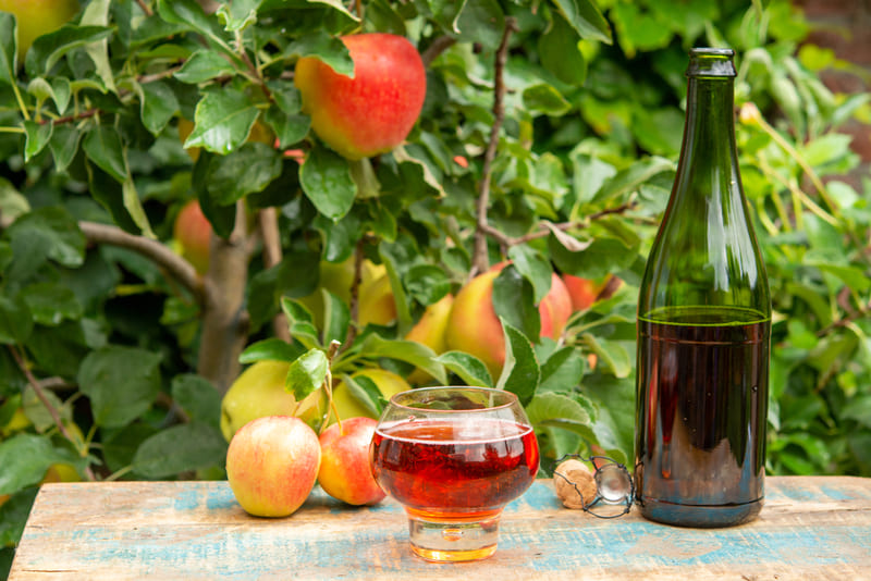 normandie frankreich Apfelwein mit Äpfeln und Apfelbaum