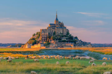 normandie frankreich Mont Saint Michel bei Sonnenuntergang mit Schafen im Vordergrund