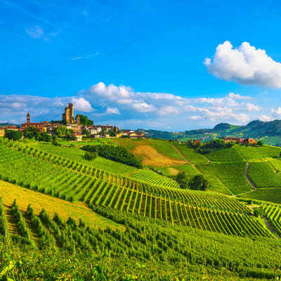 Piemont Italien Weinberge bei Serralunga d'Alba unter blauem Himmel