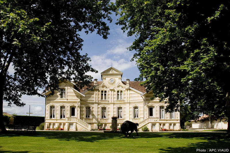 bordeaux wein - Weisses Herrenhaus im Herzen des Médoc