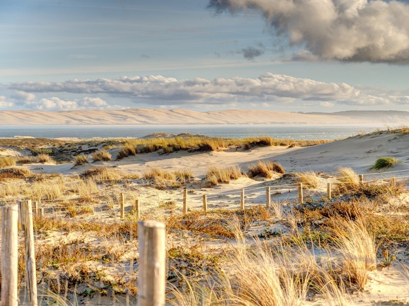 Dünen am Cap Ferret mit Strandhafer, Holzpfosten und Blick über die Bucht