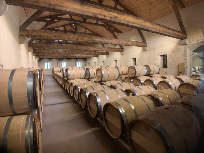 Weinkeller mit vielen Barriques unter Holzgebälk