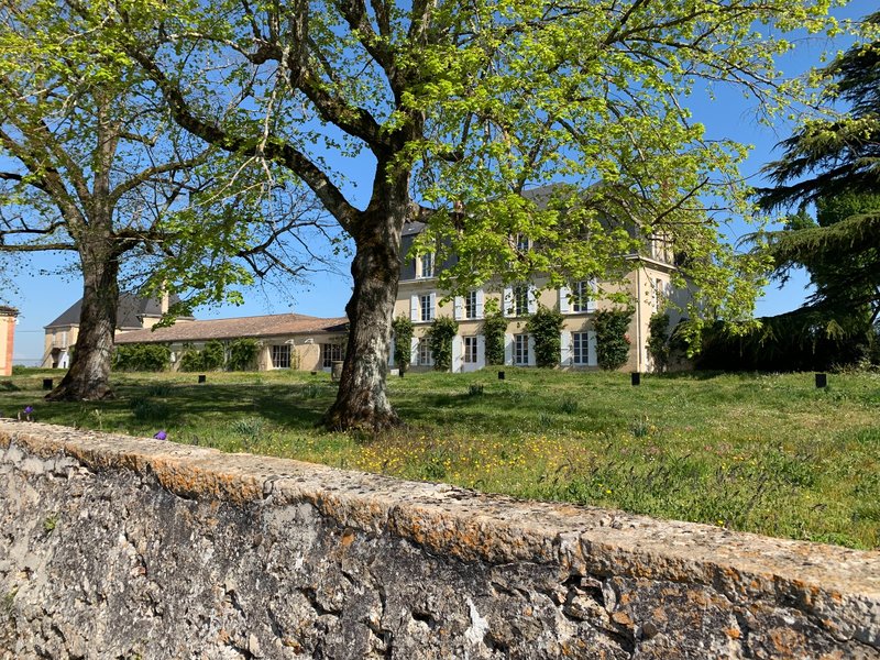 Château Guiraud in Sauternes, Blick entlang eines grünen Weges