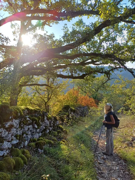 Wanderung im Périgord auf einem alten Pfad durch Eichenwald